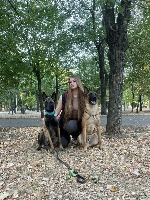 Перетримка у Кінолога Дресування