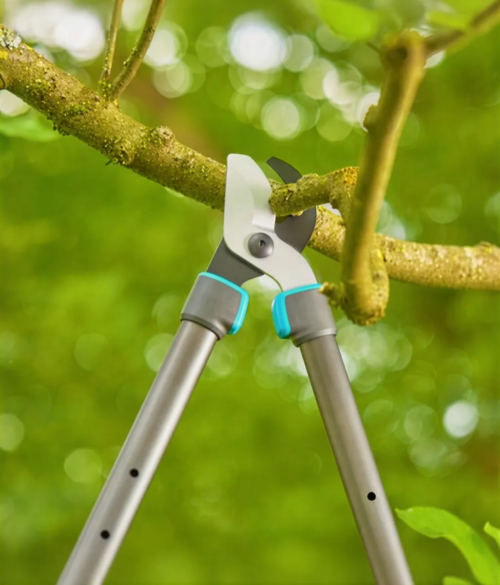 Сучкоріз - інструмент для вашого саду.