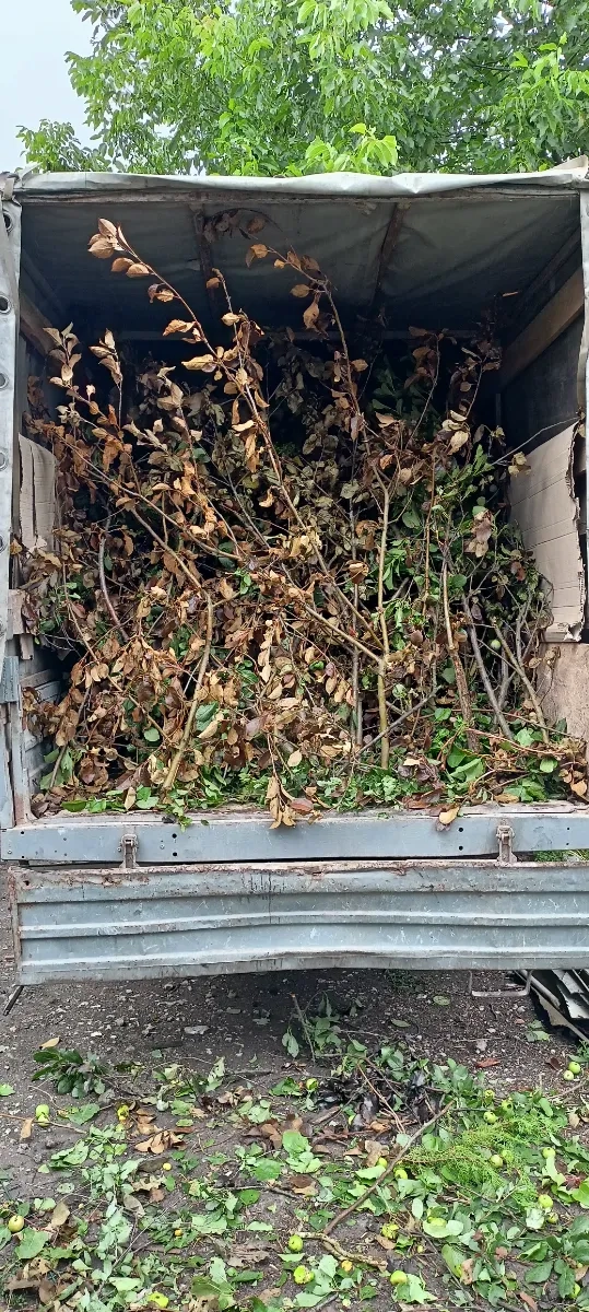 Вивіз старої меблі, Вивіз мотлоху, Вивіз сміття, Вивіз вікон, Вывоз Мусора Днепр, Вывоз строительного мусора Газель, Камаз