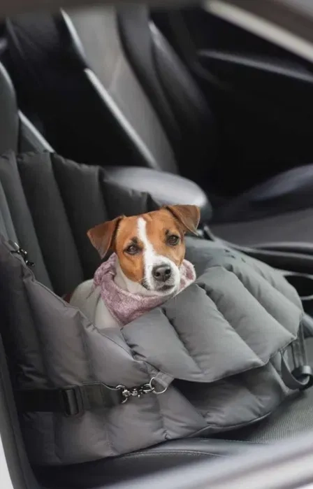 Доставка тварин, Перевезення тварин. Вінниця. Переїзд. Трансфер - 20₴ кілометр