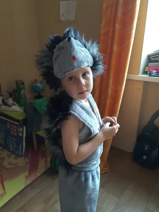 Чудовий костюм їжачка на святковий ранок 3-6 років Полтава