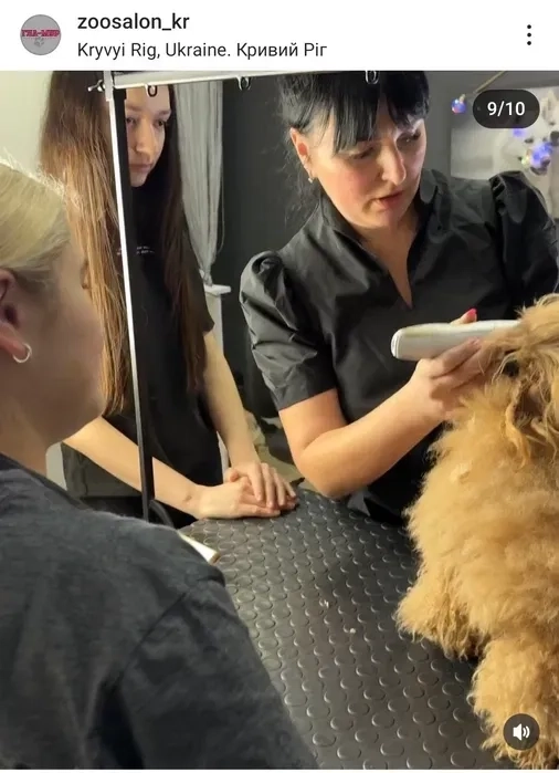 Курси грумінгу! Базовий курс з нуля. НОВИЙ СТАРТ 8.11