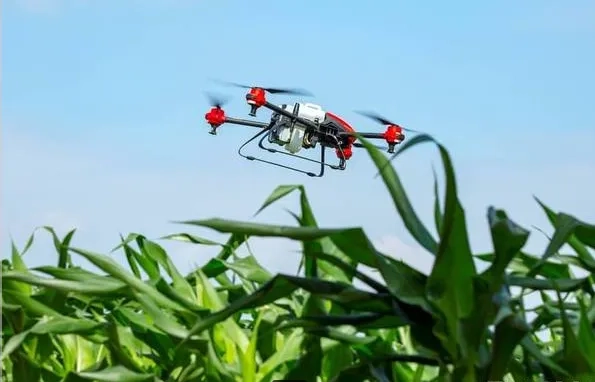 Внесення ЗЗР безпілотними літальними апаратами