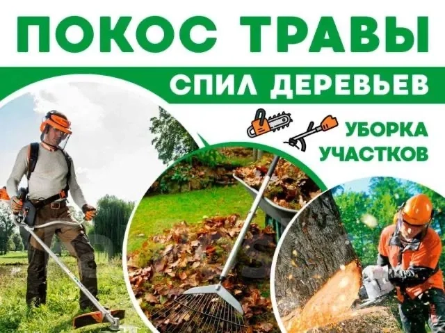 Спил дерева прибирання ділянки, вивіз сміття