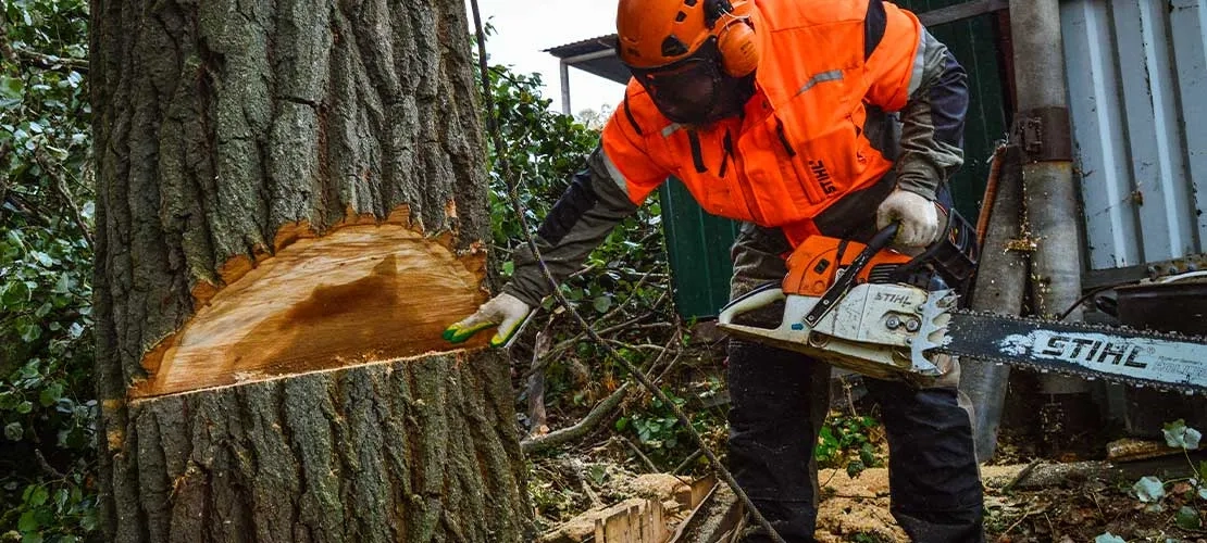 Спил дерев та подрібнення