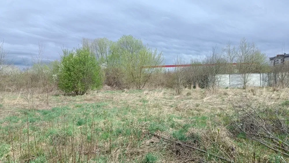 Зачистка території під забудову, продаж і т.д. Благоустрій. 150 грн.