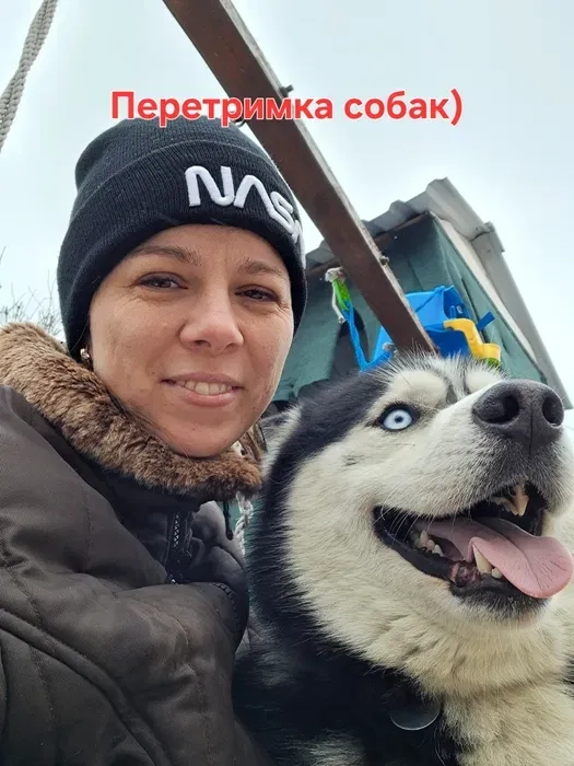 Перетримка собак .Чудові умови , дбайливе ставлення. Хороше харчування