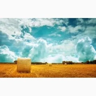 Прес-підбирач (тюкування сіна, соломи)