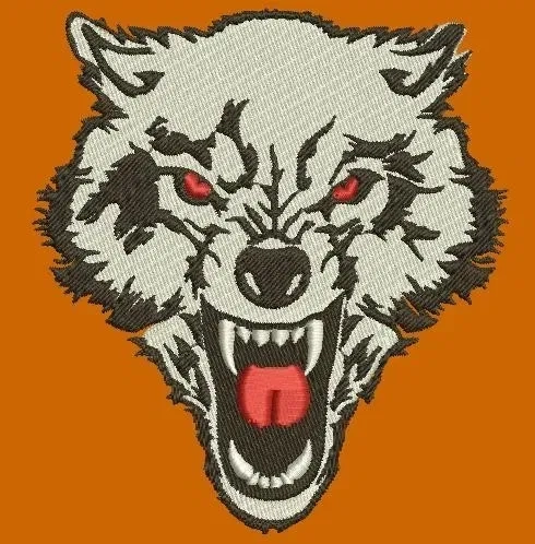 Дизайн вишивки. Разробка программ для вишивки