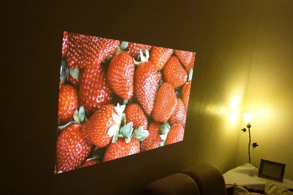 Проектор NEC M311w + екран