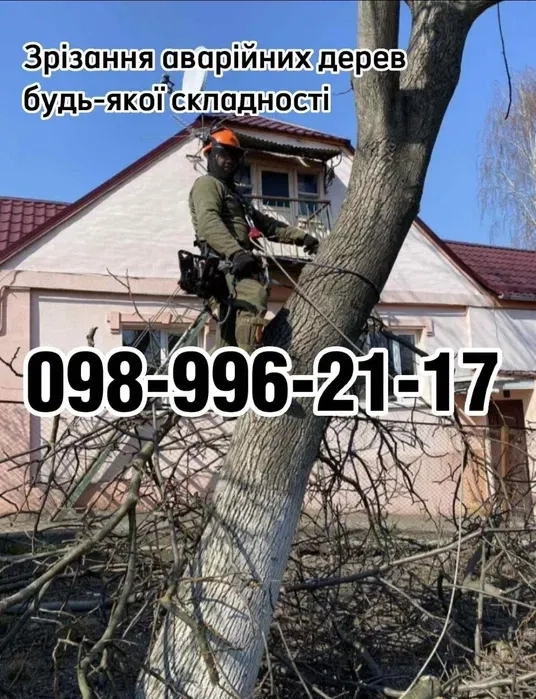 Зрізання дерев.Спил деревьев.Подрібнення гілля.Порізка на дров..
