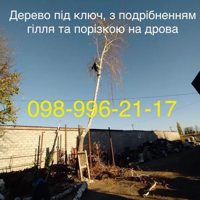 Зрізання дерев.Спил деревьев.Подрібнення гілля.Порізка на дров..