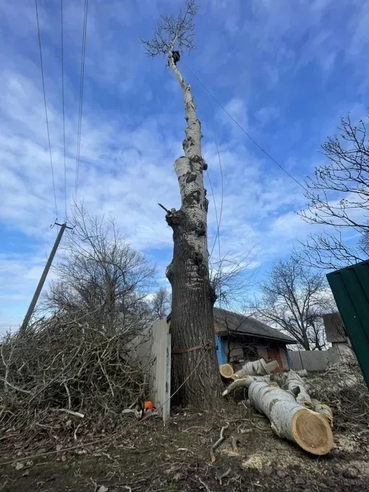 Зрізання дерев.Спил деревьев.Подрібнення гілля.Порізка на дров..