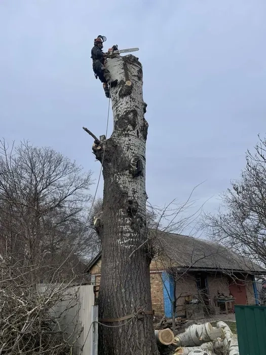 Зрізання дерев.Спил деревьев.Подрібнення гілля.Порізка на дров..