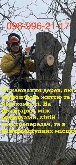 Зрізання дерев.Спил деревьев.Подрібнення гілля.Порізка на дров..
