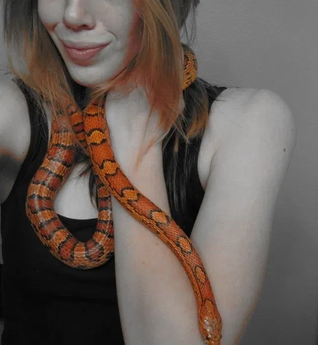Змії для фотосесії