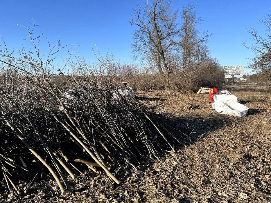 Подрібнення гілля