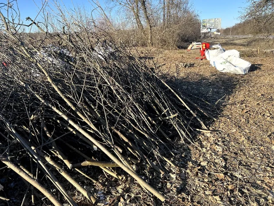 Подрібнення гілля