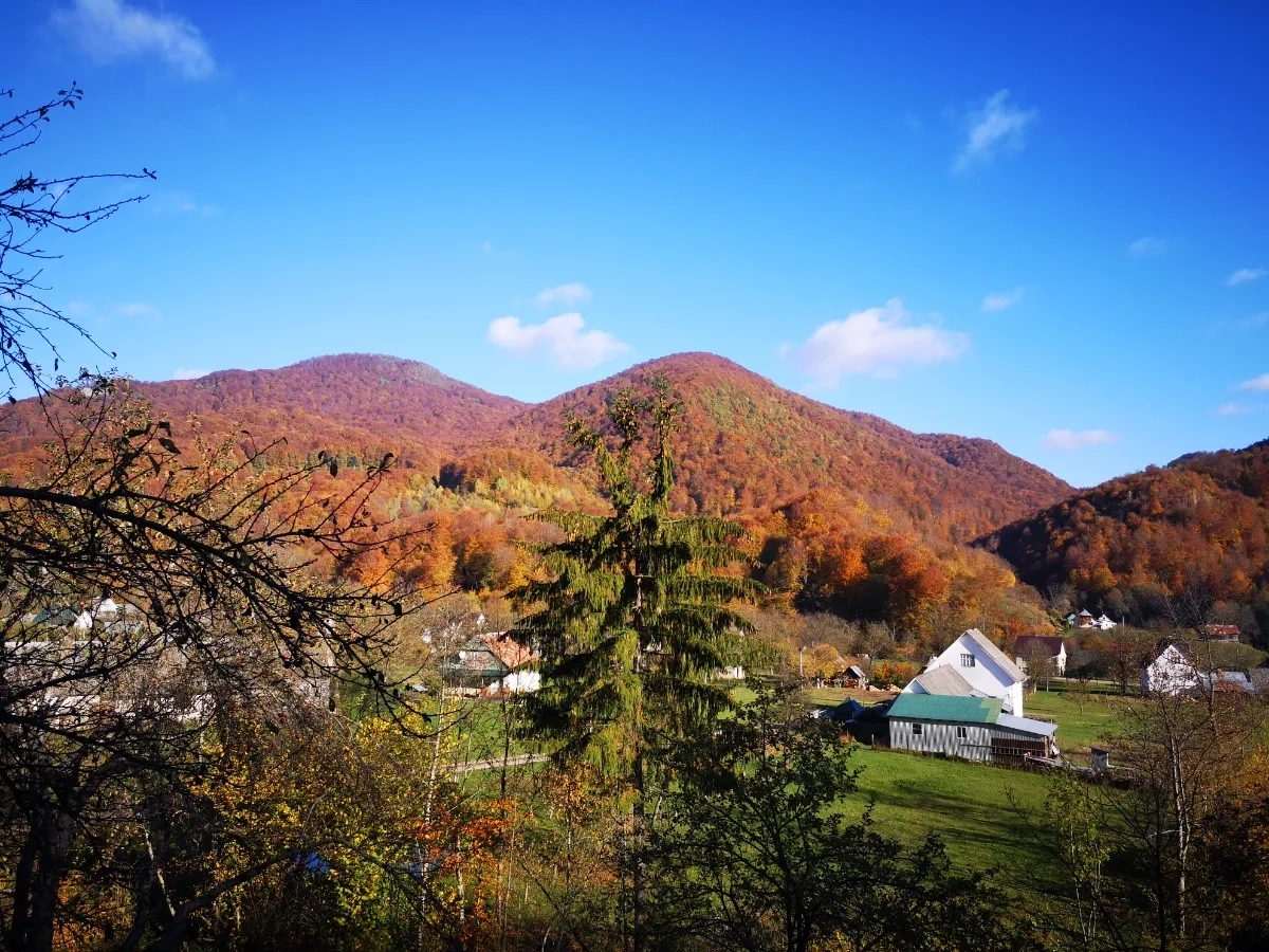 Будинок в Карпатах