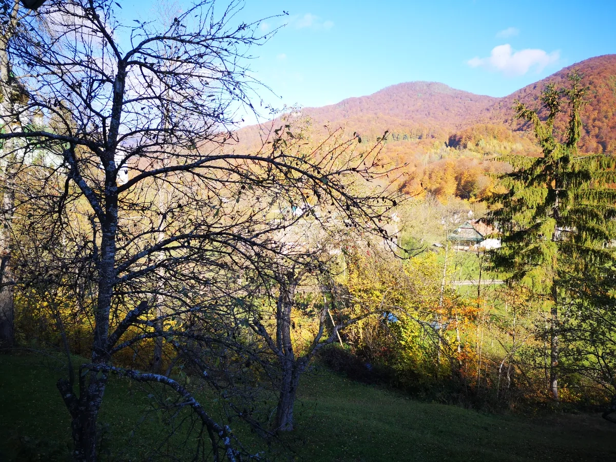 Будинок в Карпатах