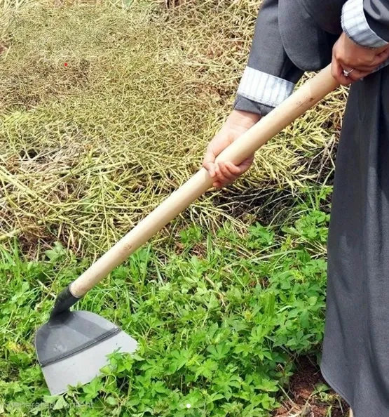 Сапа для прополювання та підгортання.