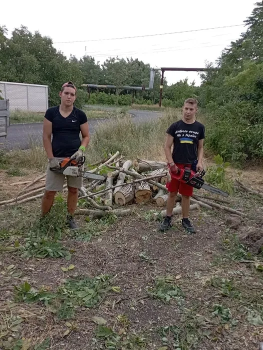 Спил дерев карчовка пнів прибирання території вивіз гілок сміття.
