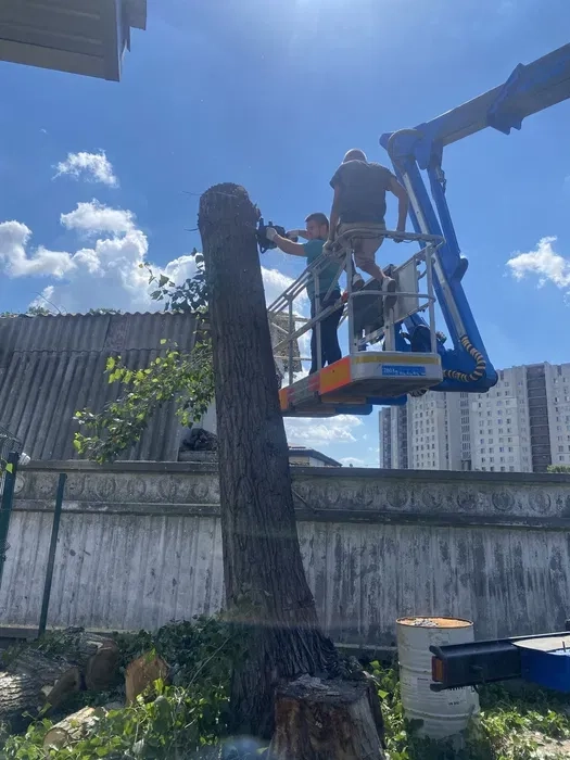 Обрізання дерев|Спилка дерев|Розчищищення ділянки|Викорчувування пнів!