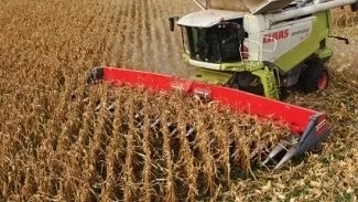 Збирання врожаю соняшнику, сої, кукурудзи комбайном в Житомирі