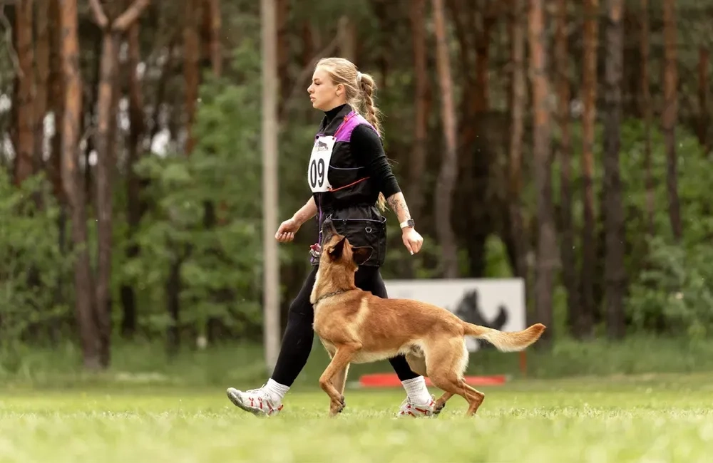 Кінолог, перетримка, дрессировка, передержка с дрессировкой, кинолог