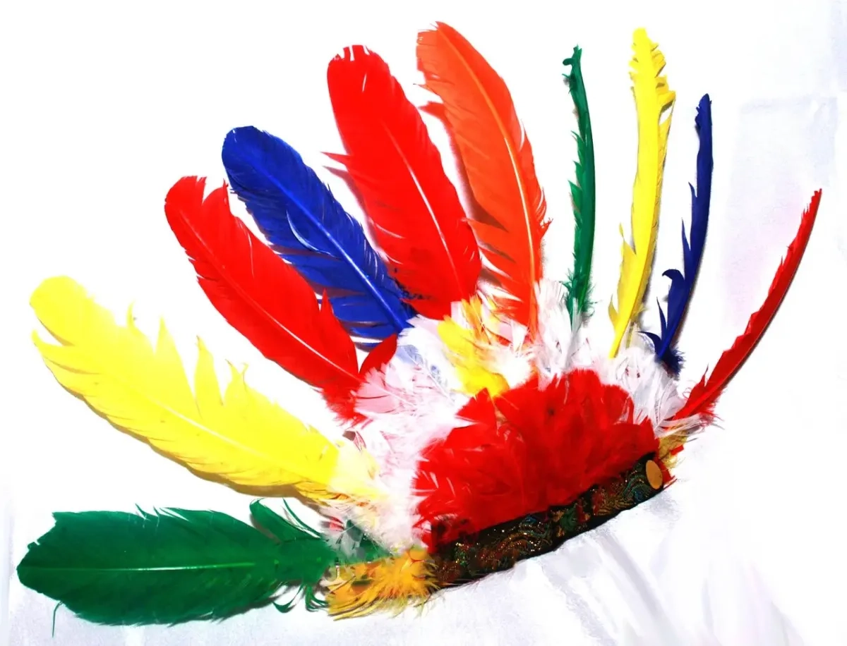 Шапка індійця карнавальна