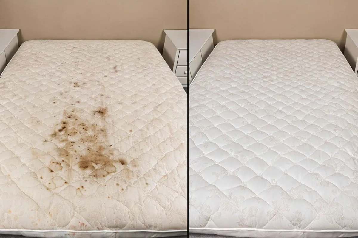 Хімчистка м’яких меблів килимів матрасов з виїздом