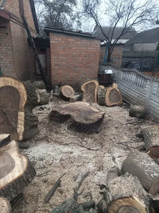 Розчищення ділянок \ ЗРІЗ СКЛАДНИХ АВАРІЙНИХ ДЕРЕВ Офіційно ФОП