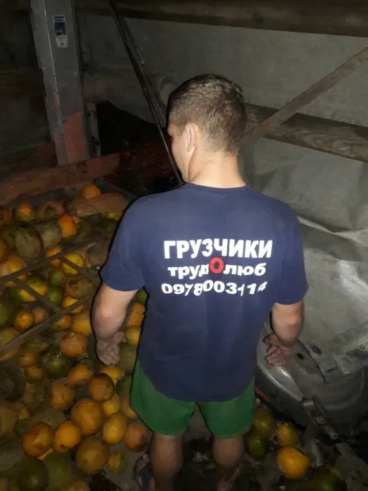 Вантажоперевезення Переїзд квартир, перевезення меблів, вантажники