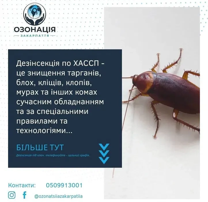 Професійне знищення шкідників таргани, клопи, миші, мурахи...