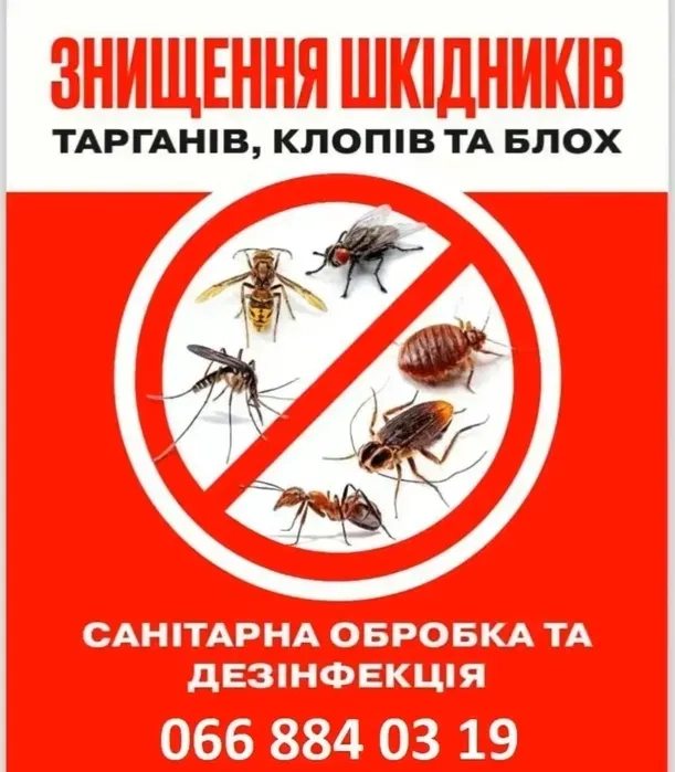 Знищення тарганів в кафе у магазинах по барах сушах та квартир