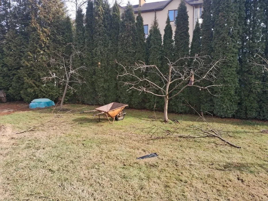 Спил дерев , обрізка фруктових дерев