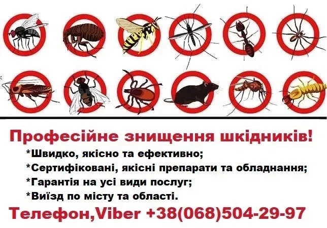 Дезінсекція, дезінфекція (таргани, клопи, блохи, кліщі, мурахи тощо)