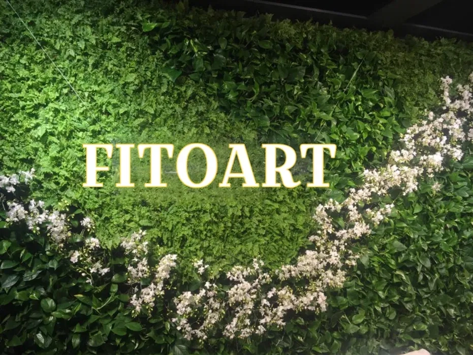 Фітостіна Вертикальне озеленення Фитостена Вертикальное озеленение