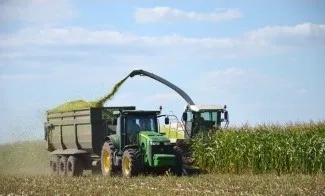 Комбайнайн Ягуар, прибирання силосу, кукурудзи на силос