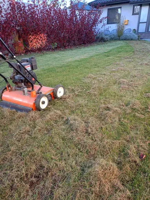 Скарифікація та аерація газону, вичісування старої трави мохів