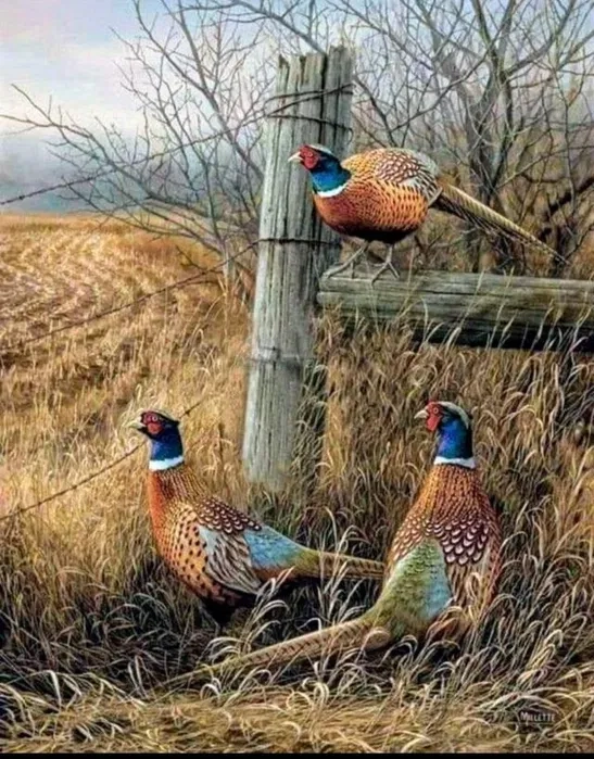 Картини з тваринами, олією на полотні