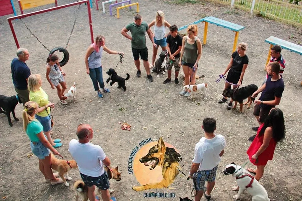 Дрессировка собак в Черноморске и пригороде клуб CHAMPION