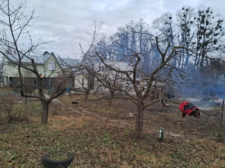 Спил та обрізка дерев , Покос трави,будь-якої складності