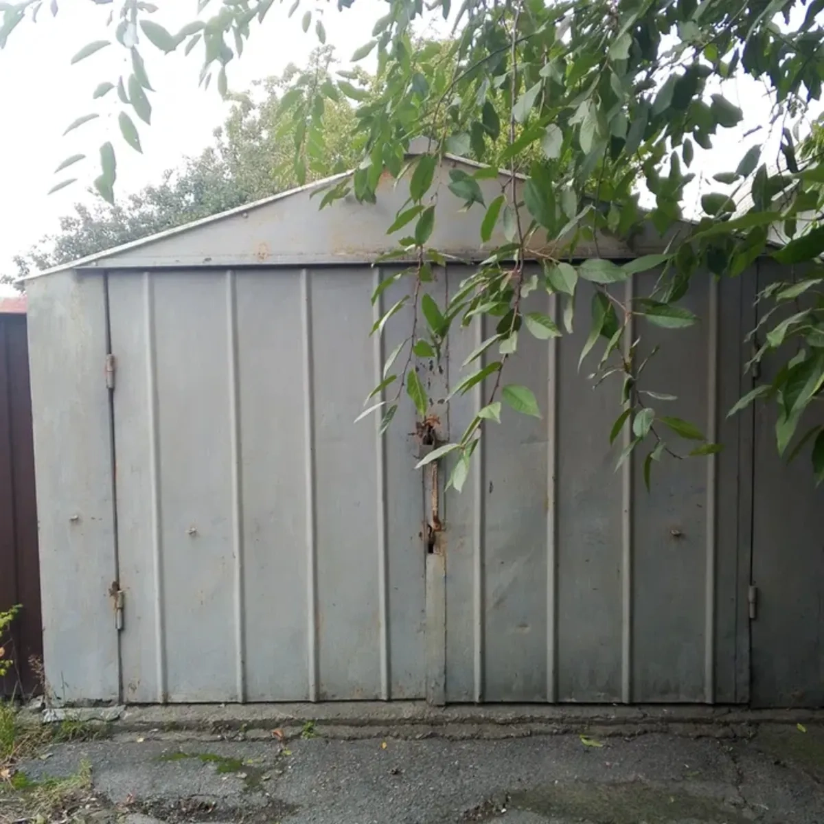 Металевий гараж зі світлом: сухий, надійний