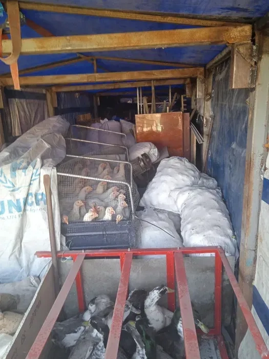 Услуги по перевозке грузов и организации переездов любой сложности!