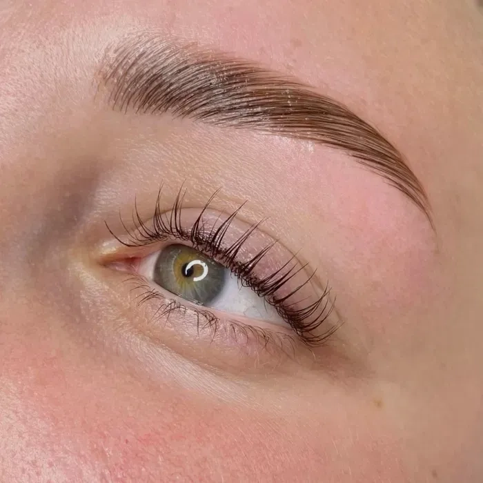 Фарбування. Ламінування. Вій. Брів. Деснянський район.