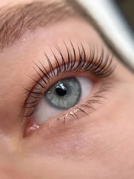 Фарбування. Ламінування. Вій. Брів. Деснянський район.