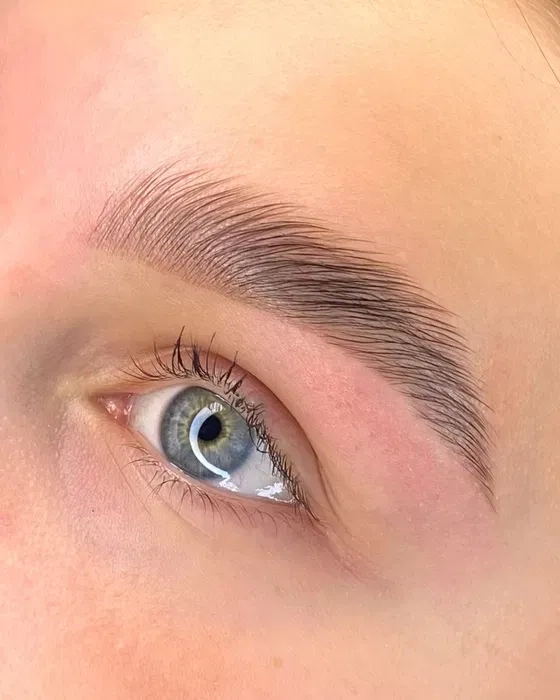 Фарбування. Ламінування. Вій. Брів. Деснянський район.