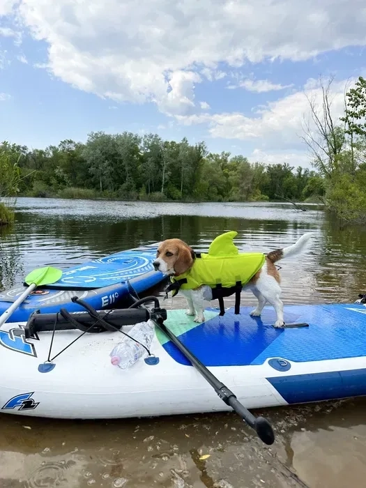 САП борад (SUP-board) подобово Дніпро