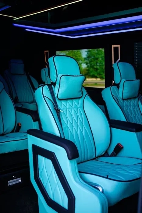 Перевезення пасажірськи до Європи мікроавтобусів - 250€